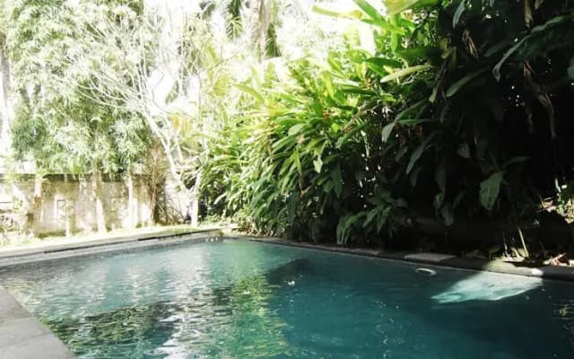 Villa Puja Ubud - photo 4