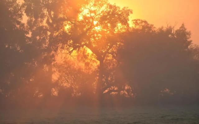 Tallawarra Homestead - photo 5