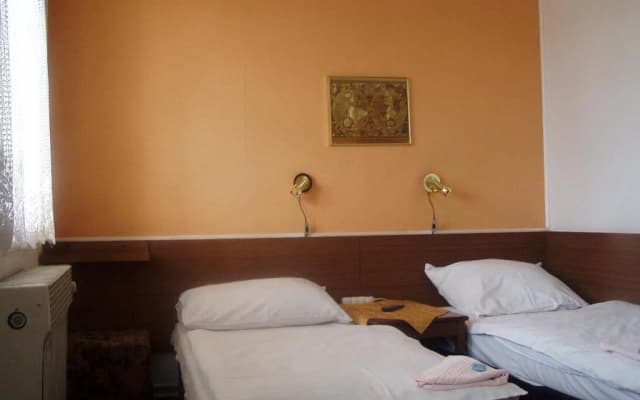 Pension Sparta - photo 3