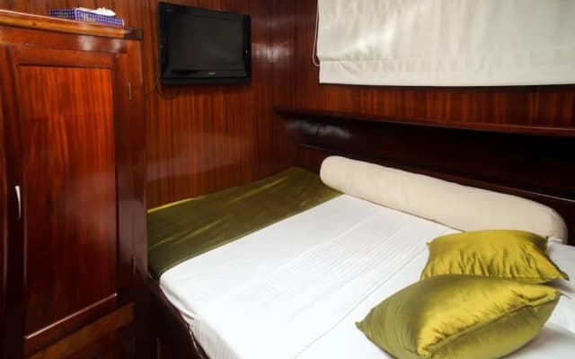 Dream Voyager - photo 3