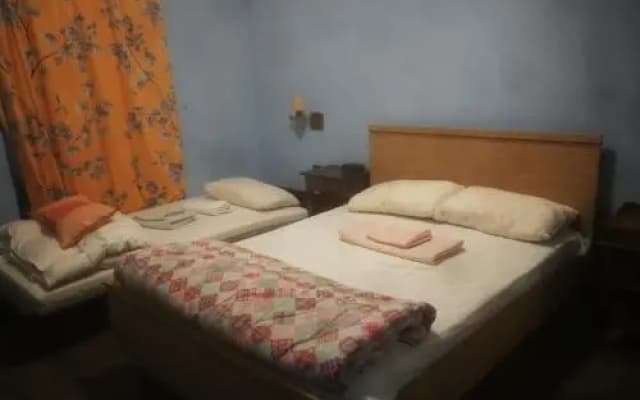 Grand Hostel Coconut - photo 2