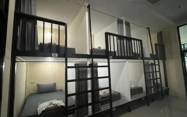 3 Tigers Resort & Hostel - photo 5