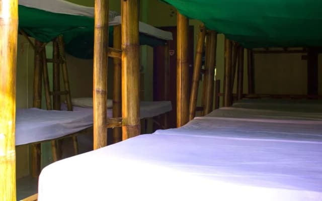 Gallery Dormitory - photo 2