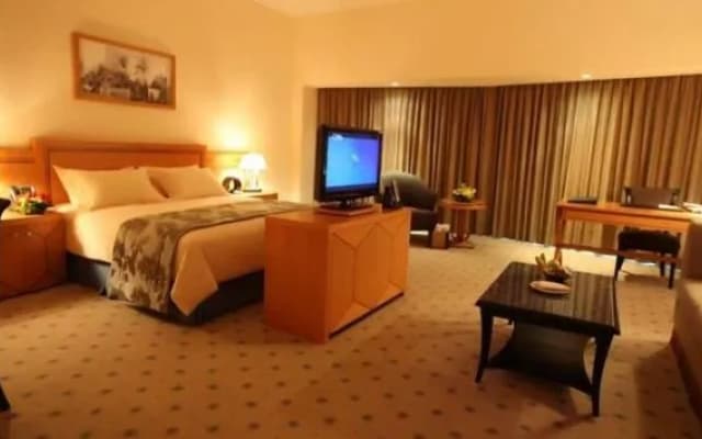 Wiseman Grand Hotel - photo 5