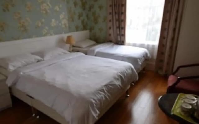 Drumorne Guest House - photo 2