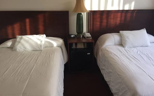 Park Plaza Lodge Hotel - photo 4