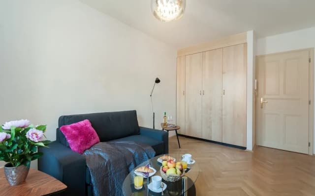Soukenicka Apartment - photo 4