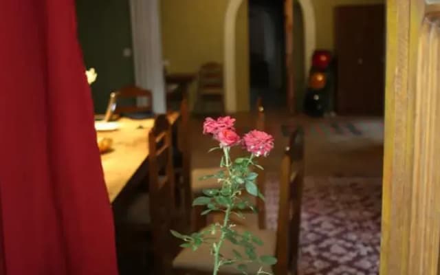 Pomegranate Hostel - photo 2