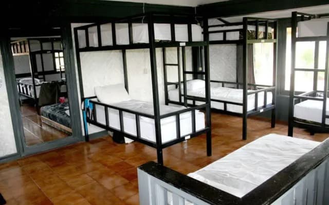 In Da Lodge - photo 5