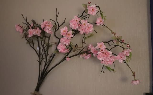 Tokyo Nippori japanese style villa - photo 4