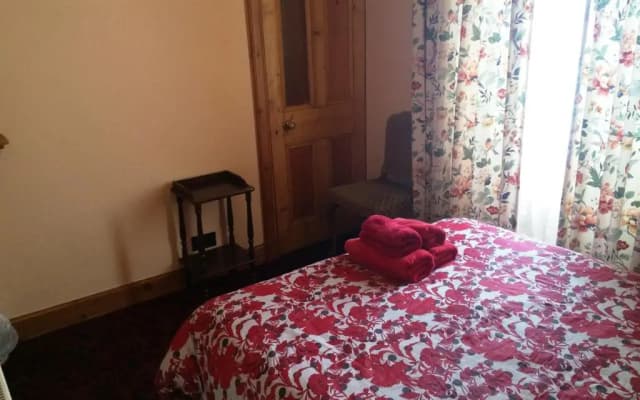 Bellevue Guest House - photo 2