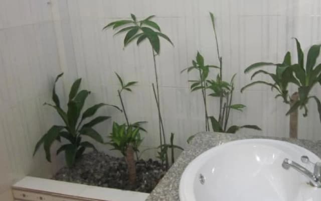 Sea Lavie Hostel - photo 5