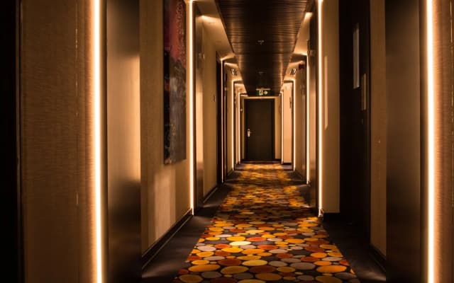 Carnelian Muscat — Airport Hotel - photo 5