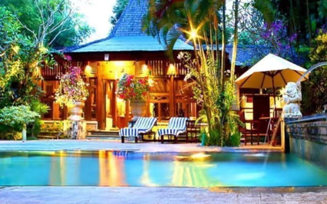 Bali Aga Villa - photo 4