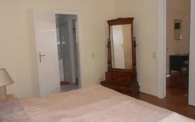 Big and Nice Flat in Budapest - photo 4
