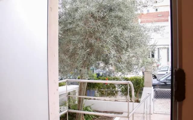 The Olive Tree House - photo 5