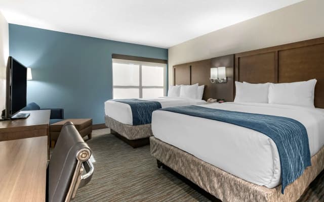 Comfort Inn & Suites Downtown Brickell-Port of Miami - photo 3
