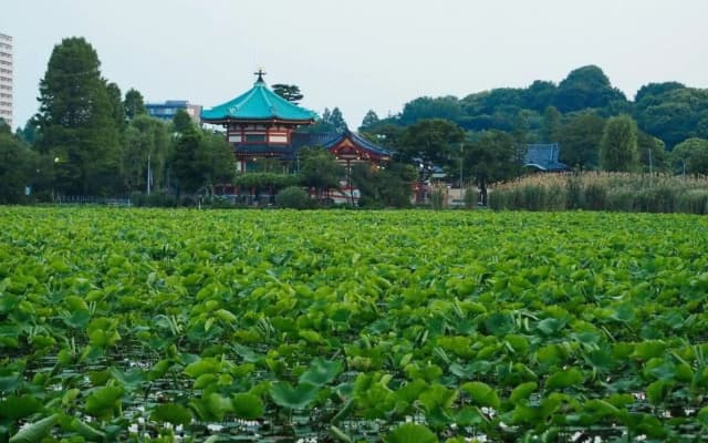 Tora Hotel Taito - Vacation STAY 53053v - photo 5