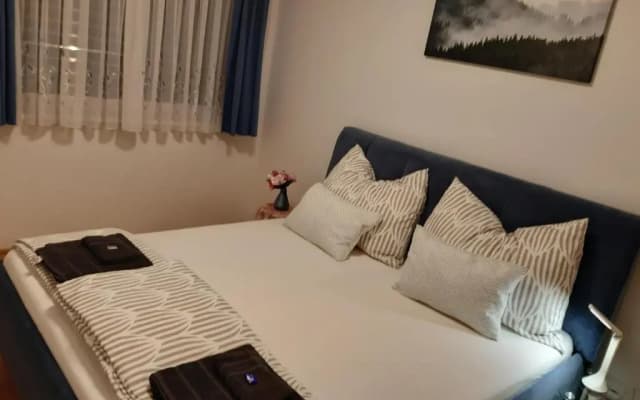 Vienna Lion Apartment - photo 4
