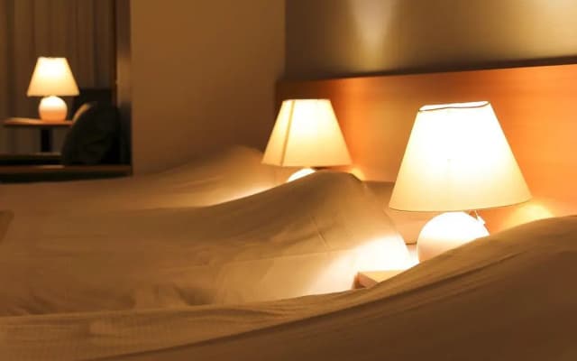 Meldia Hotel Kyoto Nijo - photo 4