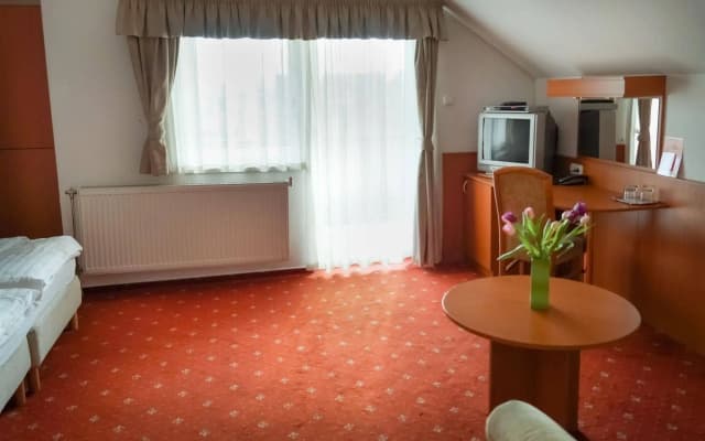 Korona Hotel Panzio - photo 5