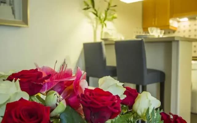 Louvre  Bed And Breakfast - photo 5