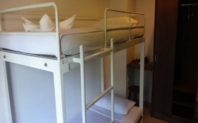 Five Elephant Hostel - photo 3