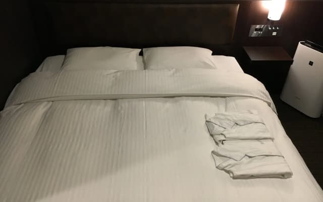 Nest Hotel Tokyo Yaesu - photo 4