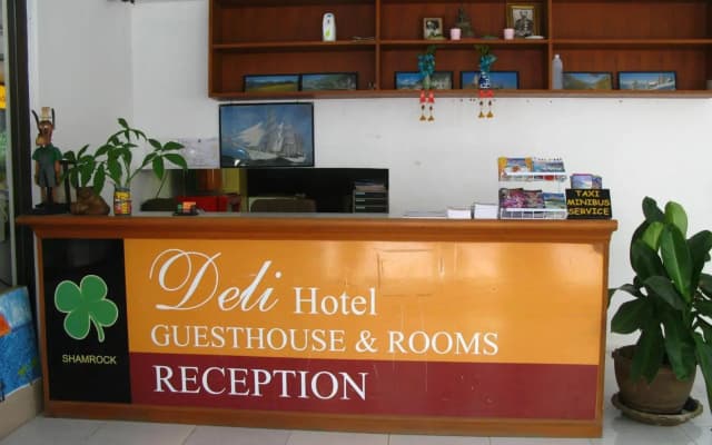 Shamrock Park Inn - photo 2