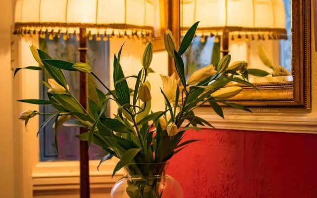 Strathallan Guest House - photo 3