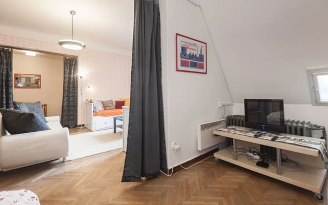 Velvet Revolution Apartment - photo 4