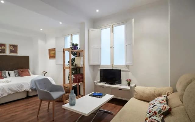 LEEWAYS APARTMENT IV in ALCALÁ 99 - photo 4