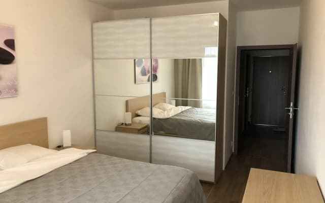 DeLuxe Apartments - photo 5