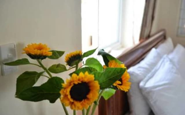 Vien Dong 2 Guesthouse - photo 5
