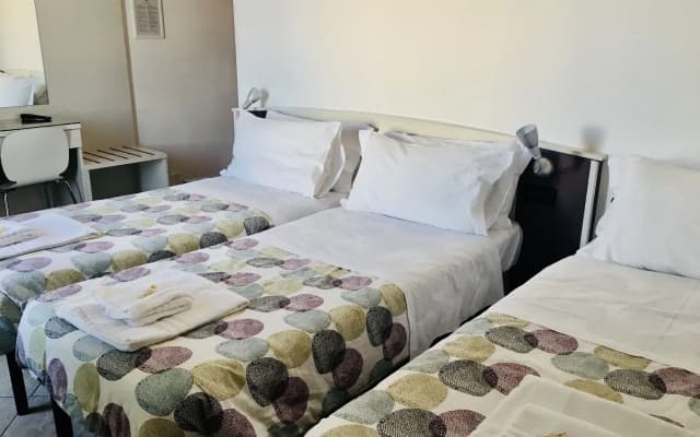 The Beehive Hostel - photo 4