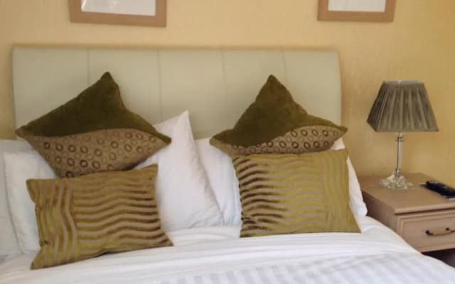 Classic Guest House - photo 4
