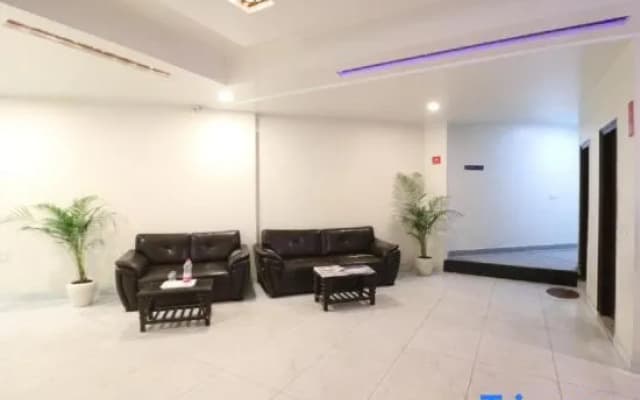 Airport Hotel Classic Park - photo 3