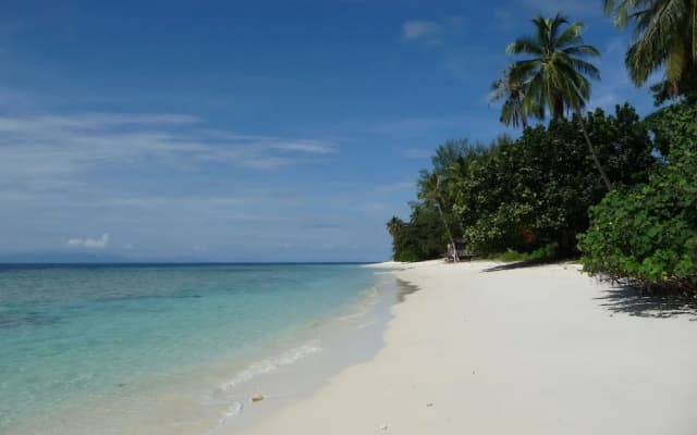 D' Coconut Pulau Besar Resort - photo 5