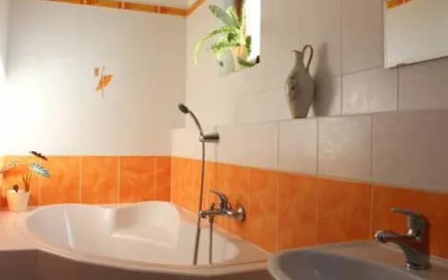 Apartments Cidlinska - photo 3