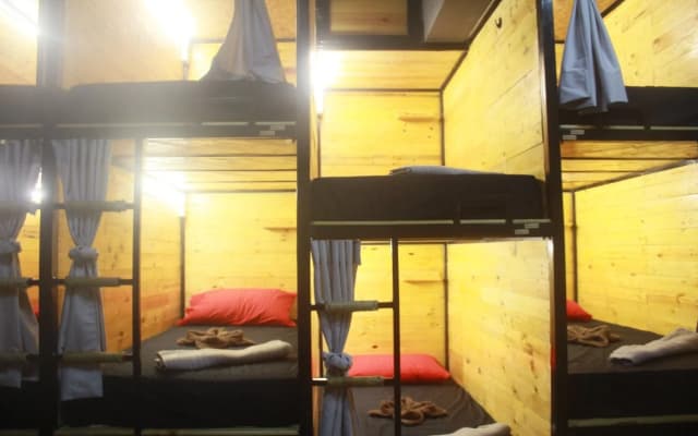 THE BUNK BACKPACKERS HOSTEL by fleur - photo 5
