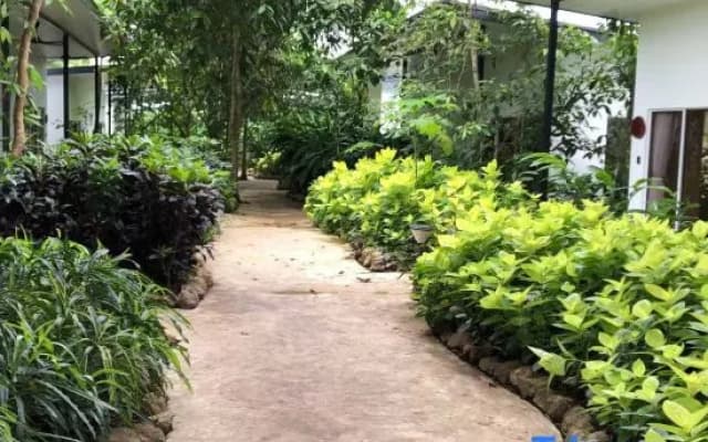 The Firefly Resort - photo 4