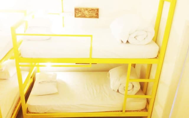 Safe and Sound Hostel - photo 4