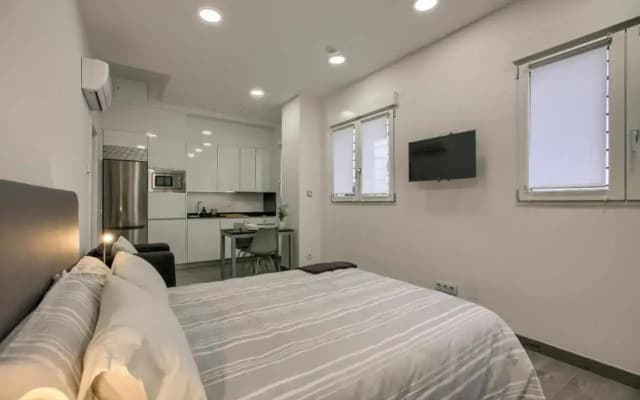 RiNa MADRID apartamento1 - photo 2