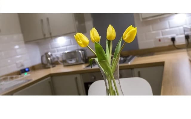 The Lane Apartment - photo 5