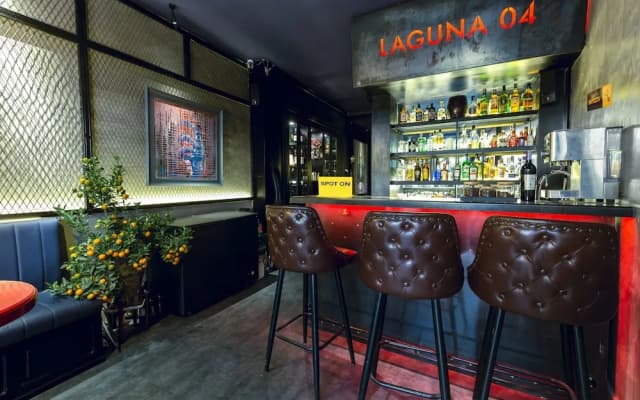 Laguna 4 - photo 3
