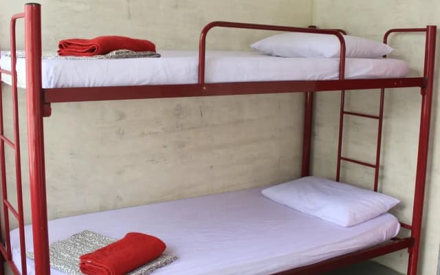 MySpace Inn - Hostel - photo 5