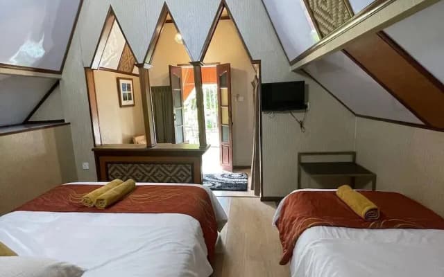 Coralview Bluestar Perhentian - photo 4