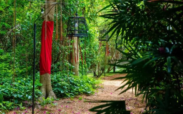 Alcove Bungalow - photo 3