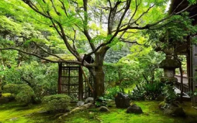 Machiya Kushige - photo 2