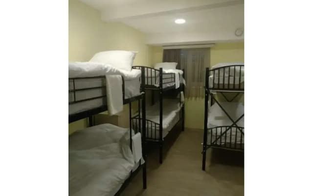 Viking Hostel - photo 2